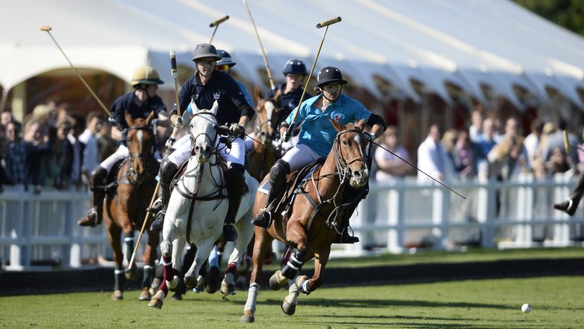The 'gentelmen's sport' of Polo: What you need to know